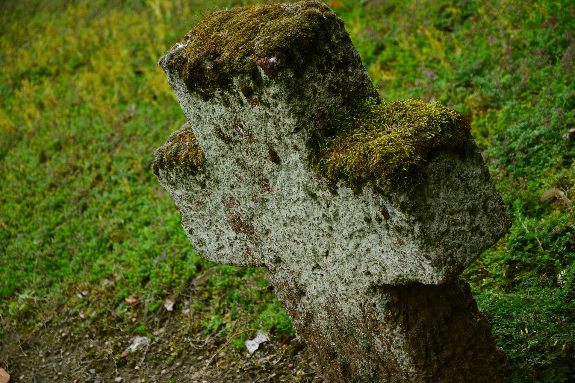 Odnaleziono krzyże z cmentarza w Smołdzińskim Lesie