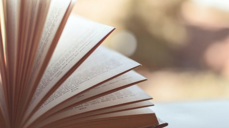 Czym się charakteryzuje literatura faktu?