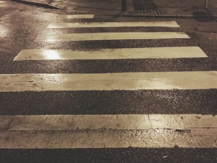 Policja ratuje owczarki niemieckie biegające po trasie S6