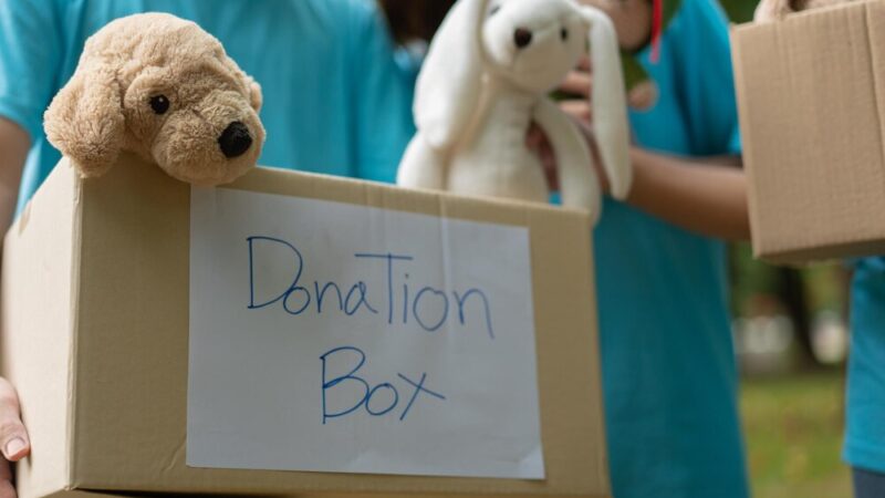 Kępiccy seniorzy zebrali 550 zł dla schroniska BUBA podczas Gminnego Balu