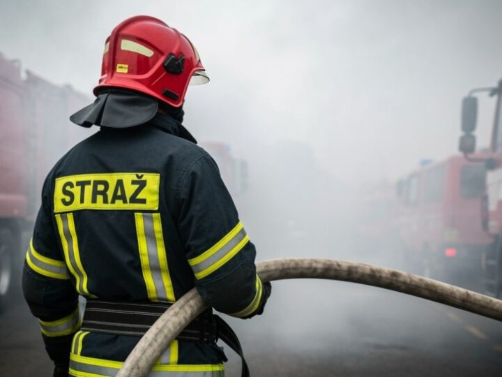 Pożar w schronisku dla zwierząt: czworonogi uratowane, pomoc w drodze!
