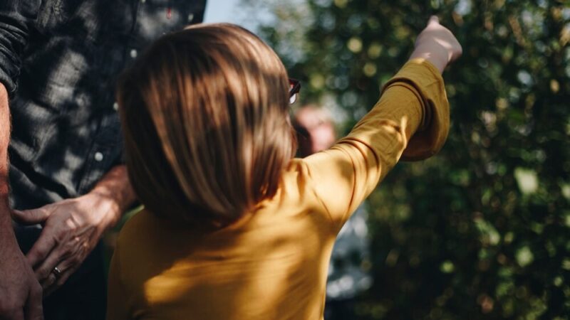 Kreatywność dla rodziny – dołącz do konkursu plastycznego!