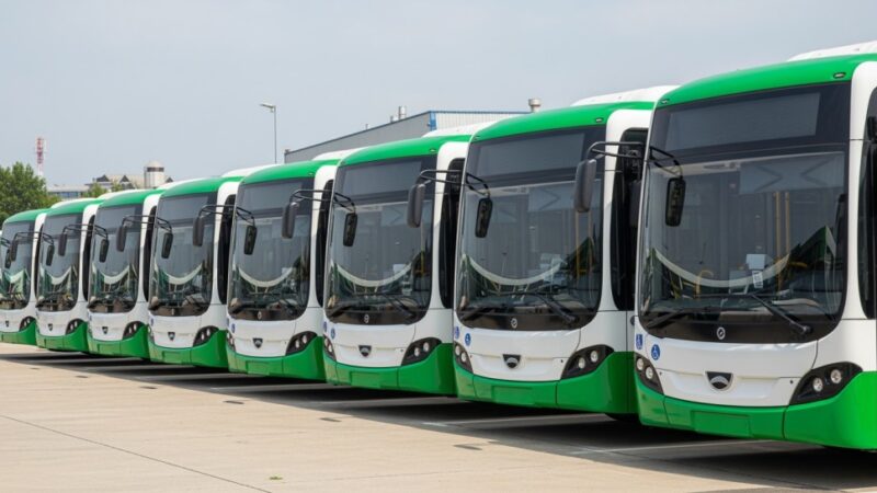 Nowa linia autobusowa 11 – co musisz wiedzieć?