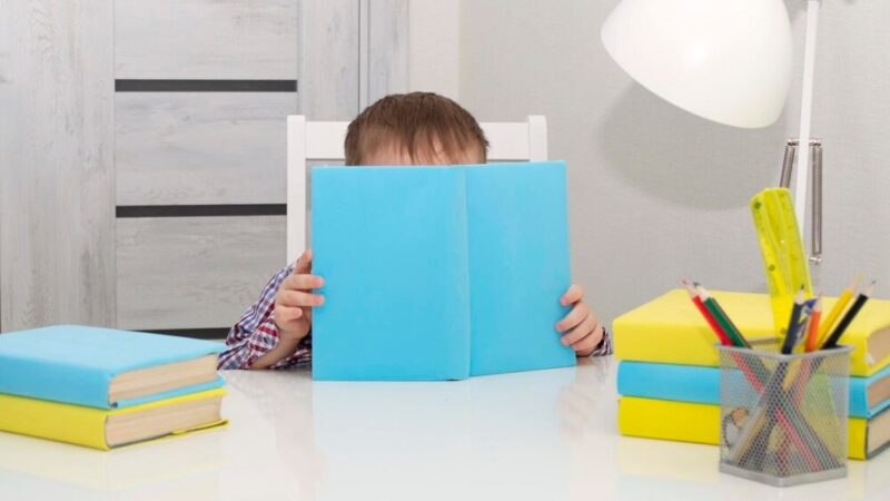 Nowe przedszkole w Budowie: krok w stronę lepszej edukacji dla dzieci z Gminy Dębnica Kaszubska