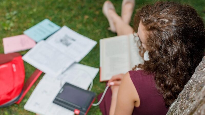 Dołącz do Publicznego Słonecznikowego Przedszkola w Kobylnicy!