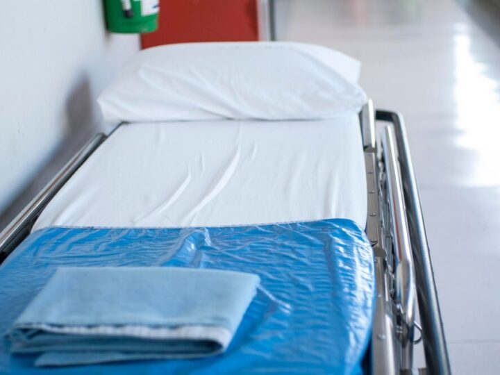 Mrozy nadchodzą – chroń swoje zwierzęta przed zimowymi niebezpieczeństwami