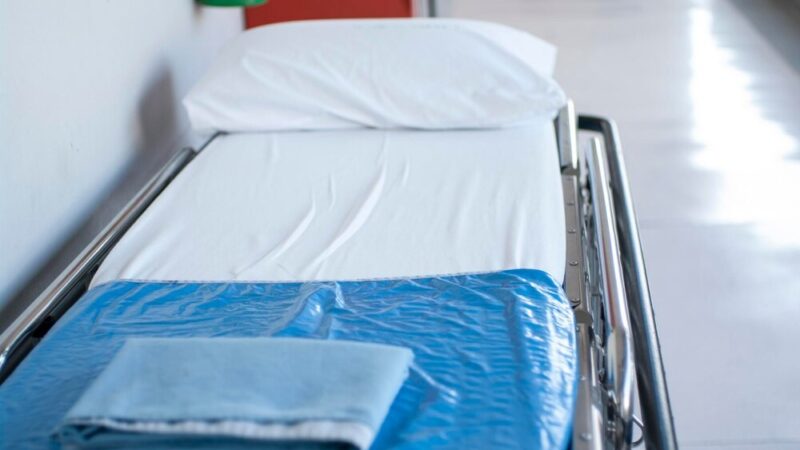 Mrozy nadchodzą – chroń swoje zwierzęta przed zimowymi niebezpieczeństwami