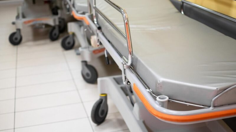 Mrozy zimowe: jak chronić nasze czworonogi przed niebezpieczeństwem