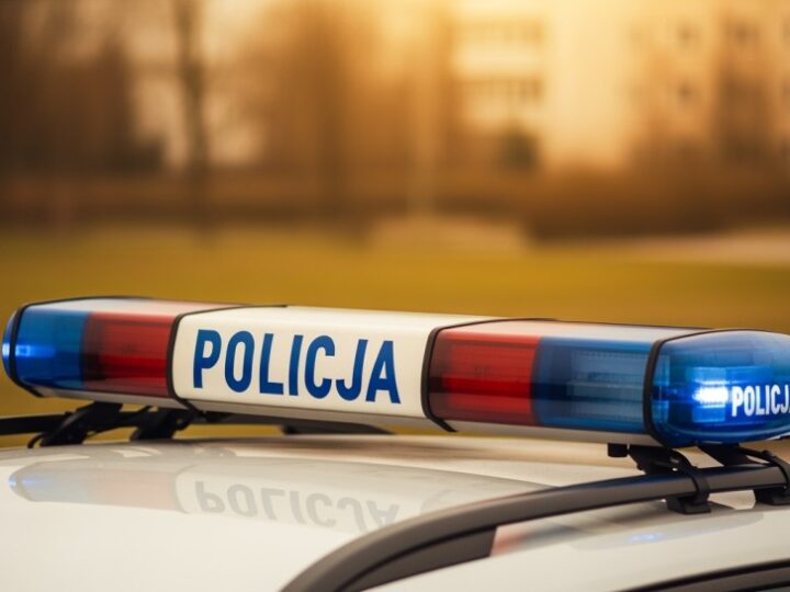 Mężczyzna ukradł konsolę z marketu, zatrzymany przez policję