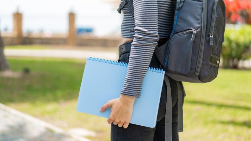 Nabór do Gminnego Żłobka Jelonek w Dębnicy Kaszubskiej do 6 marca!