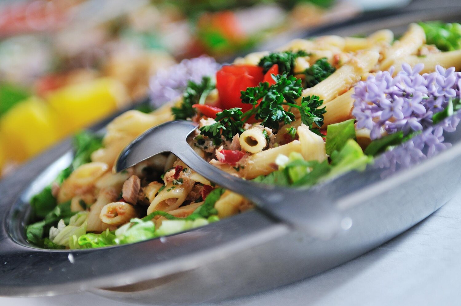 Słupsk stawia na zdrowie. Gdzie znaleźć najlepszy catering dietetyczny w regionie?