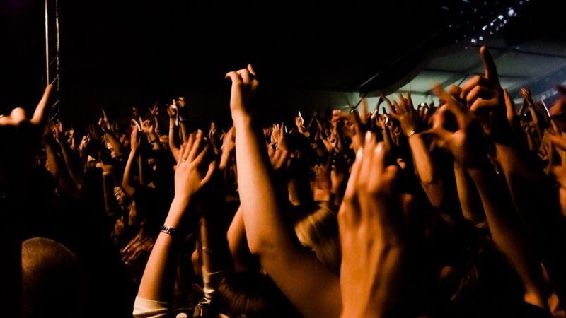 Ringo Todorovic w półfinale Must Be the Music, a Hania Drewniak zadebiutuje w The Voice Kids!