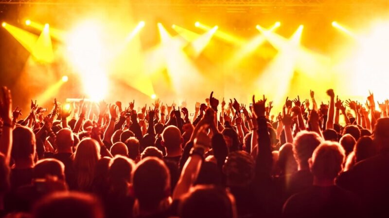 Festiwal dla schroniska „Buba” w Obłężu: dołącz do nas 12 września!